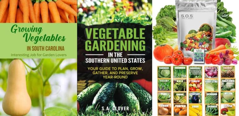 BEST FRUITS TO GROW IN SOUTH CAROLINA visual data 8