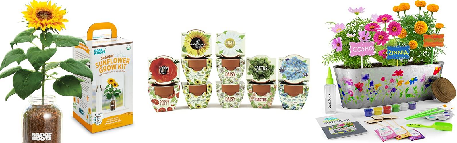 Top 5 Grow Kits: Reviews & Buying Guide for Beginners