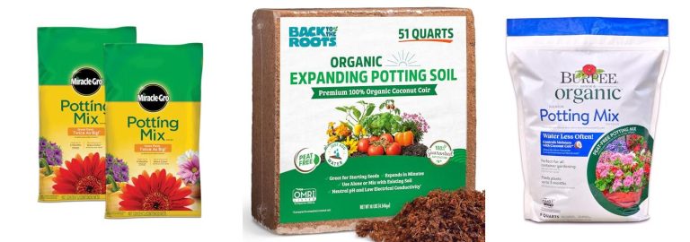 TOP SOIL FOR CONTAINER GARDENING visual data 8