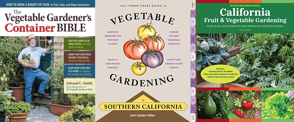 VEGETABLES TO GROW NOW IN CALIFORNIA visual data 3