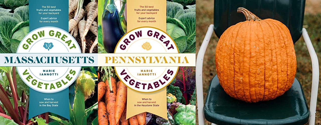 List of vegetables intelligence overview